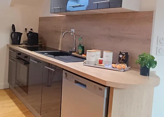 Vivez A Pied - A 2 Pas Du Chateau, Des Musees, Du Marche, Des Restaurants Et Au Pied Du Port De Plaisance *